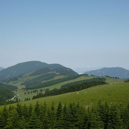 Апартаменти Huberhof Im Almenland Санкт-Катрайн-ам-Оффенег Екстер'єр фото