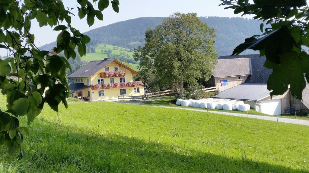 Апартаменти Huberhof Im Almenland Санкт-Катрайн-ам-Оффенег Екстер'єр фото